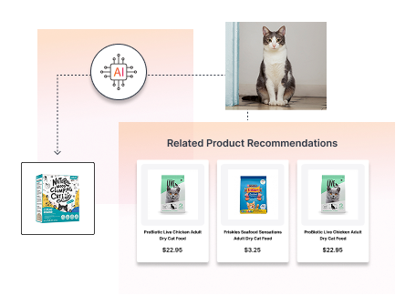 Product Recommendation Feature Provider for PetCare website