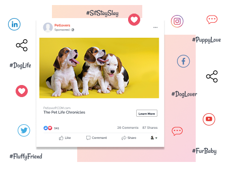Pet Social Network Feature in eCommerce Solutions