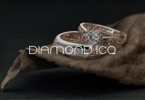 featured work