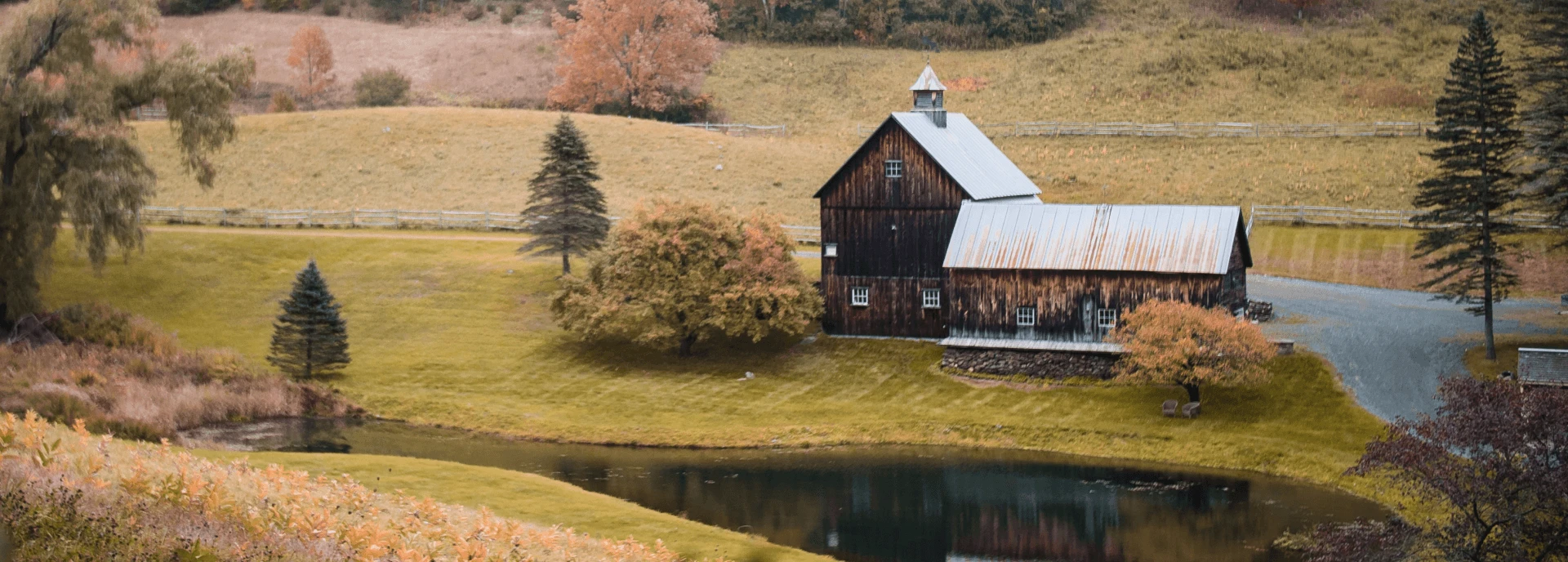 Feather Down – Casestudy Feather Down – Casestudy