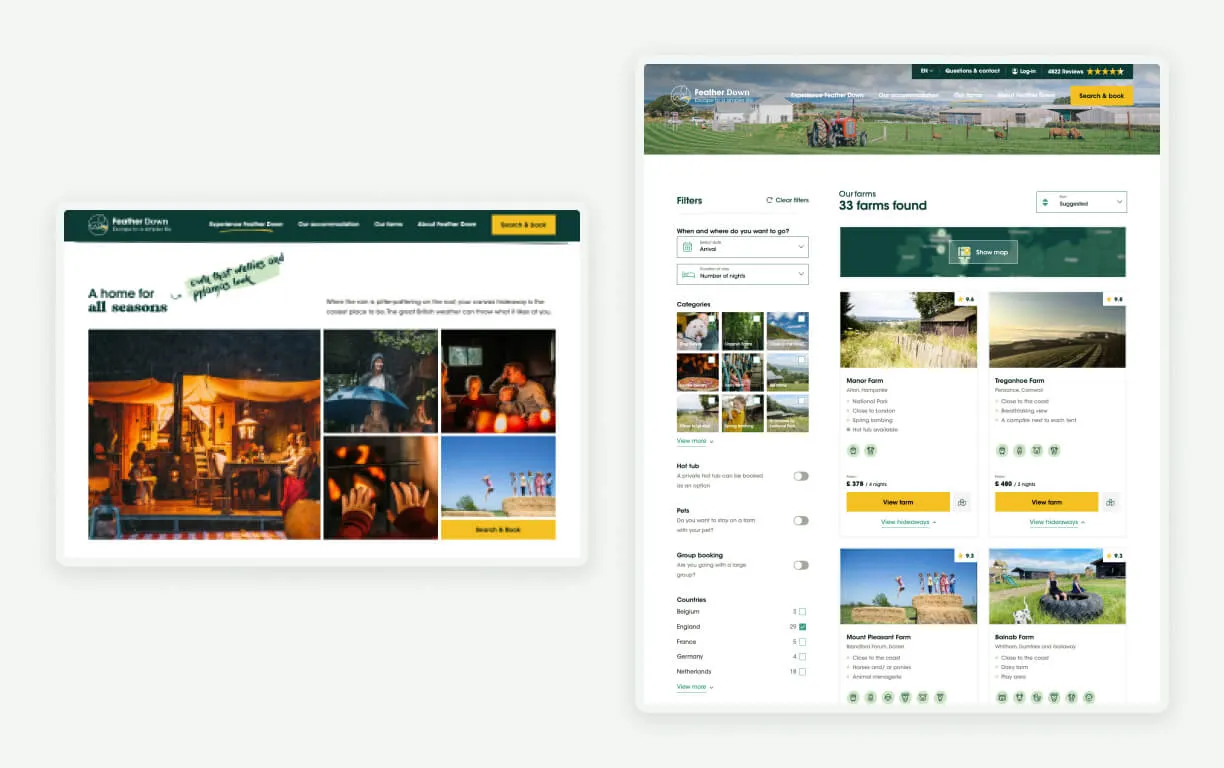 Feather Down – Casestudy Feather Down – Casestudy