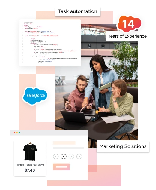 Image Content Section