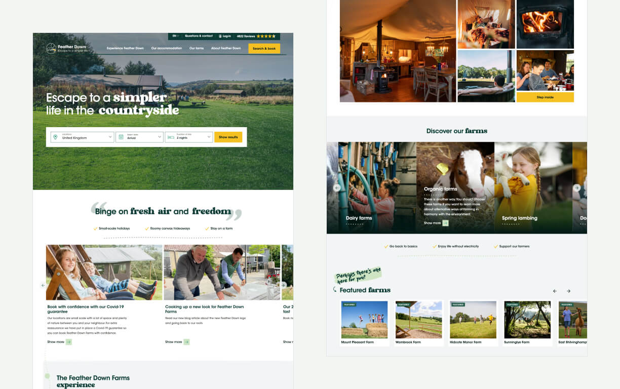 Feather Down – Casestudy