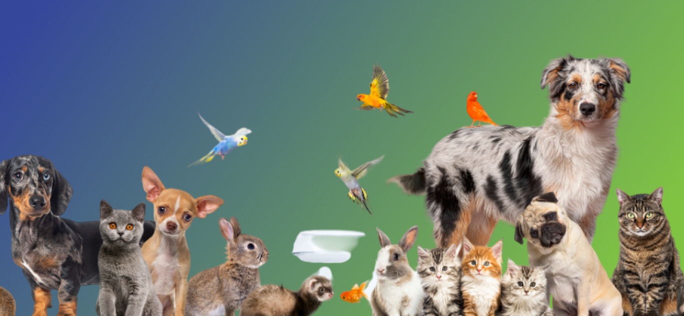 Petzone Pets Image
