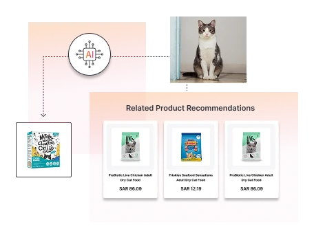 AI Based Product Suggestions