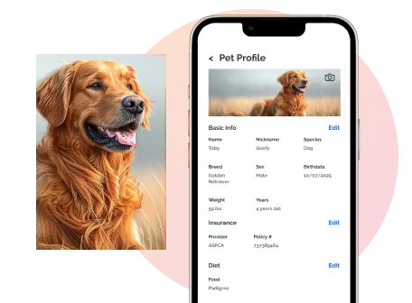 Personalized Pet Profiles