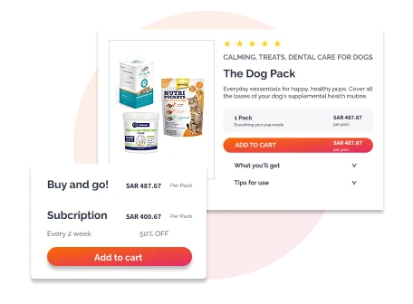 Subscription Box Models 1