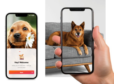 Augmented Reality AR For Products