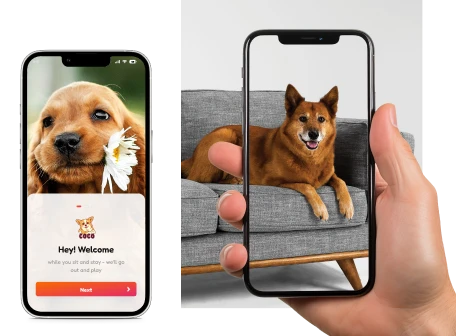Augmented Reality AR For Products