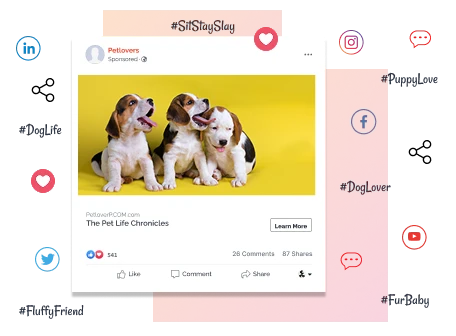 Pet Social Network