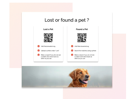 Lost Found Alerts