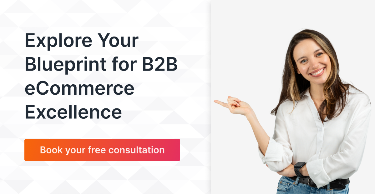 Explore your blue prints for B2B ecommerce excellence