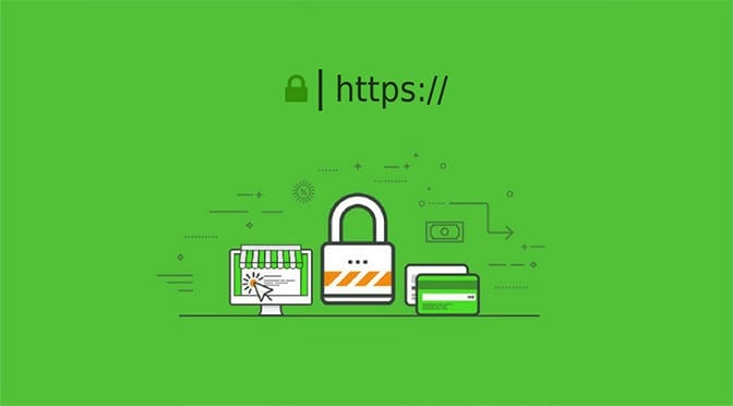 What all things to be considered while buying the SSL certificate?