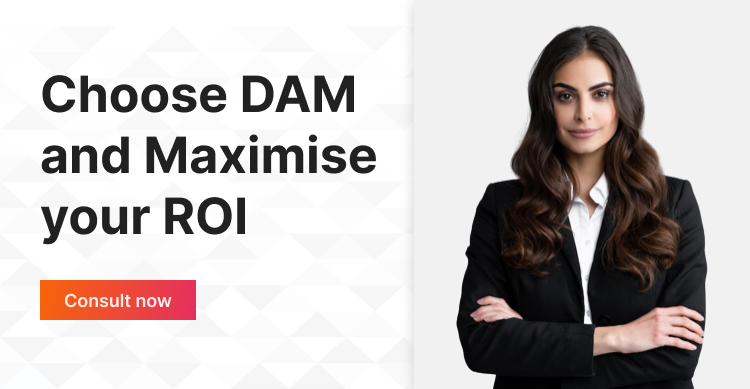 Choose-DAM-and-Maximise-your-ROI