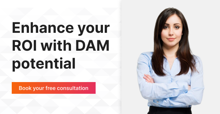 Enhance-your-ROI-with-DAM-potential