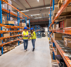 Wholesale And Distribution