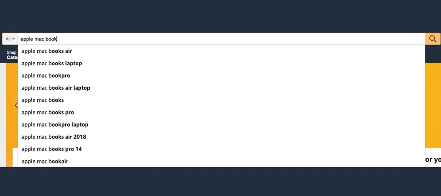ecommerce search box