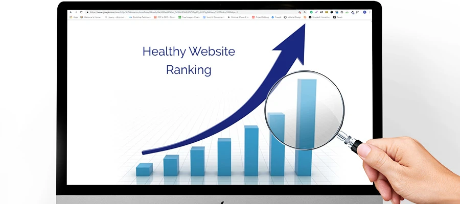SEO provides healthy website ranking