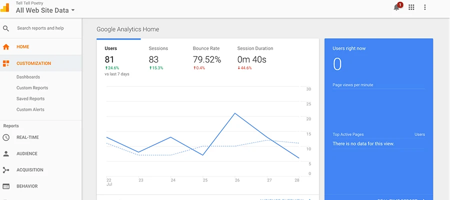 Google Analytics
