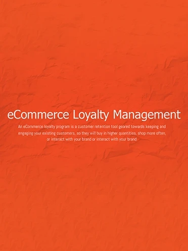 b2b-ecommerce Infographic