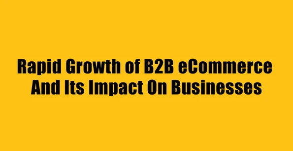 b2b-ecommerce Infographic