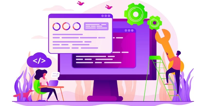 customized software assistance