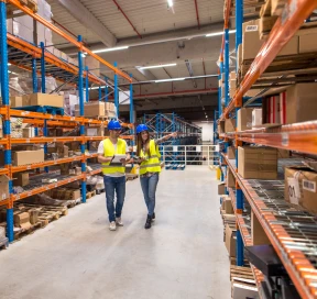 Wholesale And Distribution