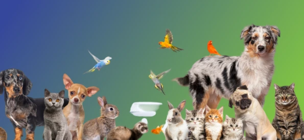 Petzone pets image