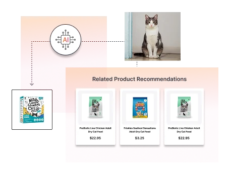 AI Based Product Suggestions