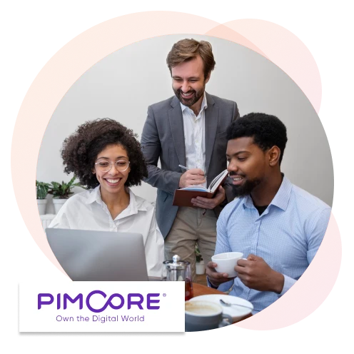 PimCore Development Company in South Africa