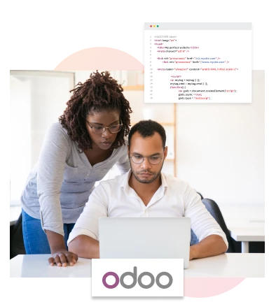 Custom Odoo Solutions - South Africa