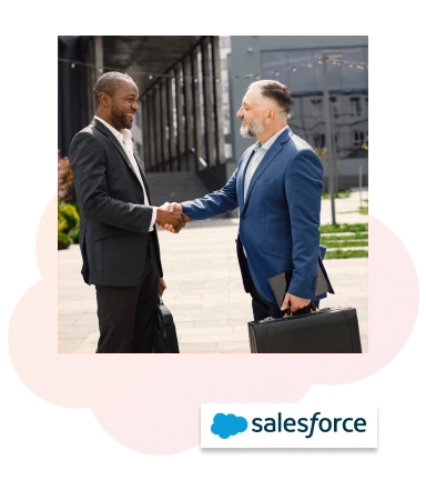 Proficient Salesforce Consultation Solution - South Africa